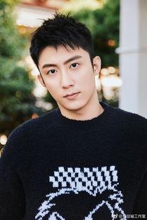 最新爆料黄景瑜,神秘恋情引热议，事业再攀高峰