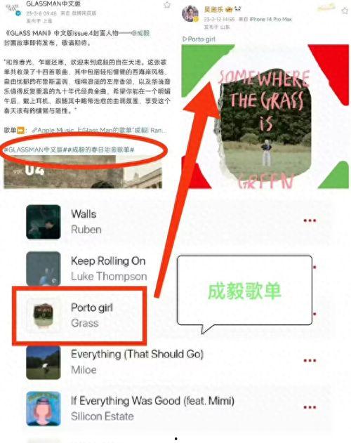 莲花楼微博爆料最新,微博爆料揭秘神秘剧情，精彩看点抢先看