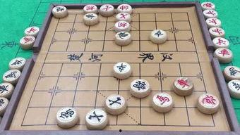 仙女象棋爆料网站大全最新,一网打尽热门资讯与攻略