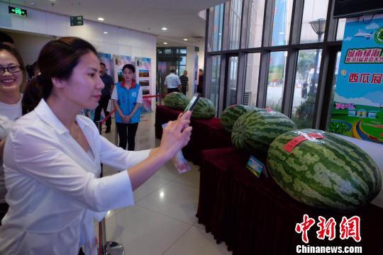 阎良吃瓜最新事件爆料新闻,揭秘背后惊人真相